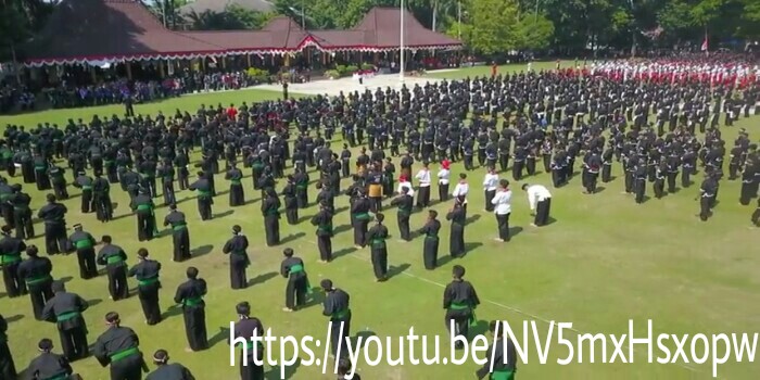 Perspektif dan Kontroversi dalam Pencak Silat